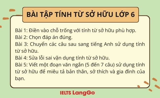 Bài tập vận dụng tính từ sở hữu