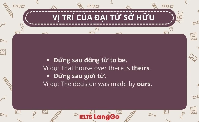 Vị trí của đại từ sở hữu