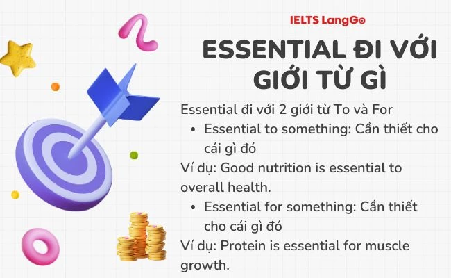 Essential đi với giới từ To và For