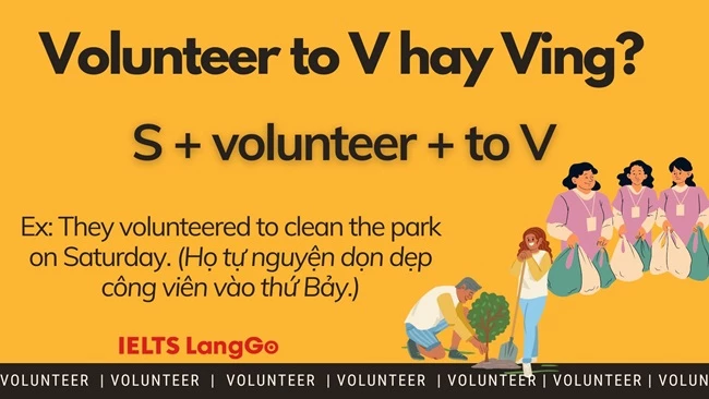 Volunteer to V hay Ving