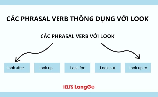 Các phrasal verb thông dụng với look