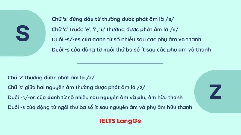 Mẹo phân biệt âm /s/ và /z/ nhanh, chính xác