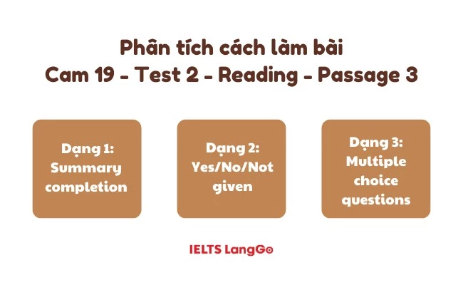 Phân tích đề và chiến lược làm bài Cam 19 - Test 2 - Passage 3