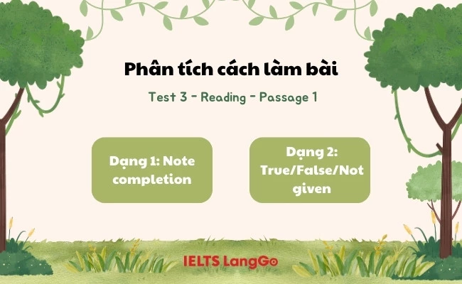 Phân tích đề và chiến lược làm bài