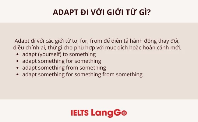 Adapt đi với giới từ gì?