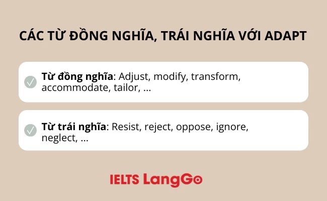 Từ đồng nghĩa, trái nghĩa với adapt