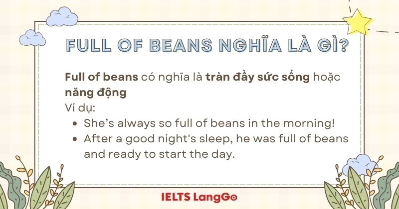 Full of beans nghĩa là gì?