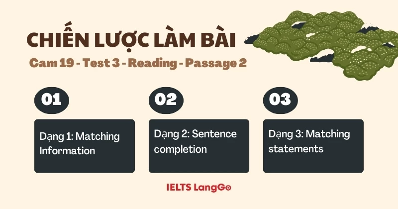 Phân tích đề và chiến lược làm bài Cam 19 - Test 3 - Reading passage 2