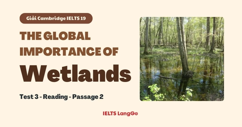 Giải đề Cam 19 - Test 3 - Reading passage 2: The global importance of wetlands