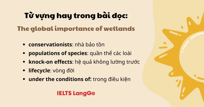 Học từ vựng hay trong bài đọc IELTS Reading: The global importance of wetlands