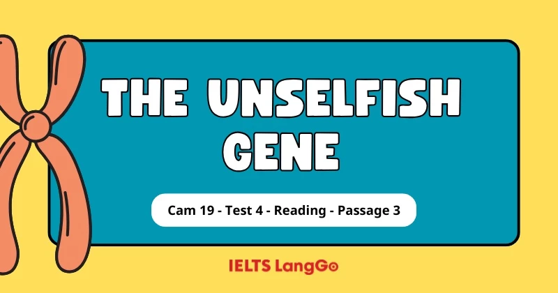 Giải đề Cambridge 19, Test 4, Reading passage 3: The unselfish gene