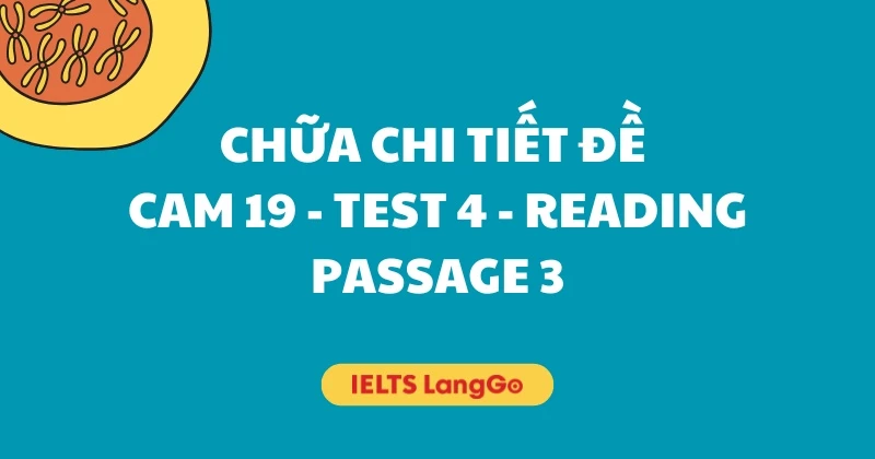 Chữa chi tiết đề Cambridge IELTS 19, Test 4, Reading passage 3