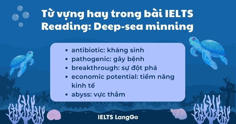 Học từ vựng hay trong bài đọc Deep-sea mining