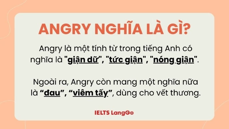 Nghĩa phổ biến của Angry là tức giận, giận dữ về 1 điều gì đó