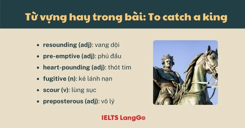 Học từ vựng hay trong bài đọc: To catch a king - IELTS Reading