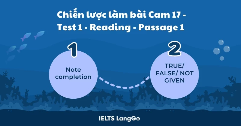 Phân tích đề và chiến lược làm bài Cam 17 - Test 1 - Reading - Passage 1