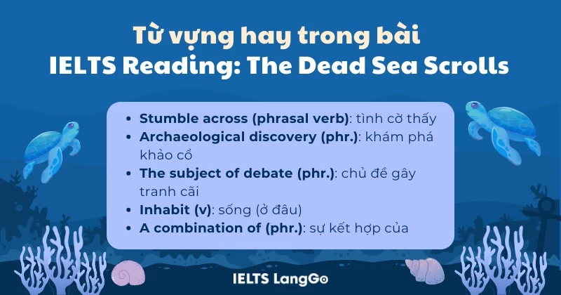 từ vựng hay trong bài IELTS Reading: The Dead Sea Scrolls