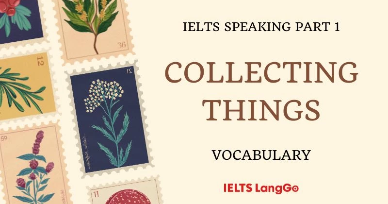 Collecting things Speaking Part 1 Vocabulary