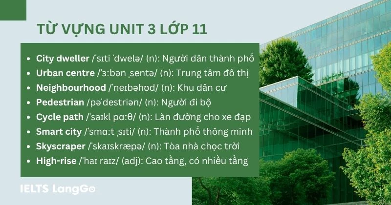 Từ vựng tiếng Anh Unit 3 lớp 11