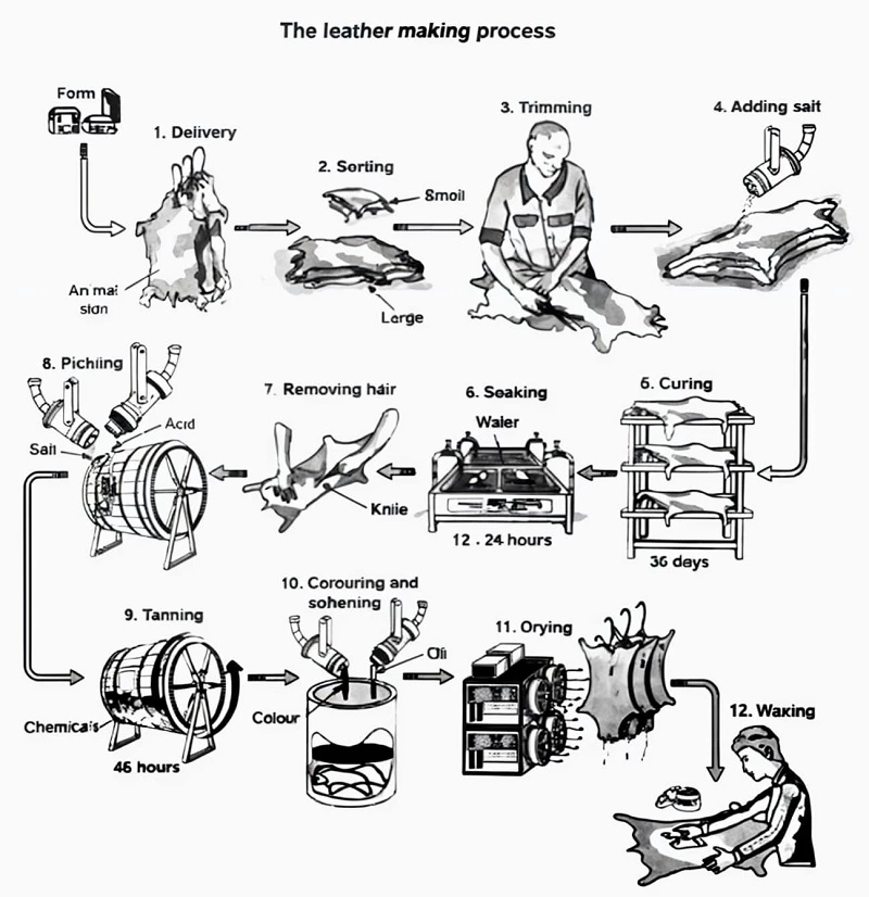 The leather making process Writing Task 1