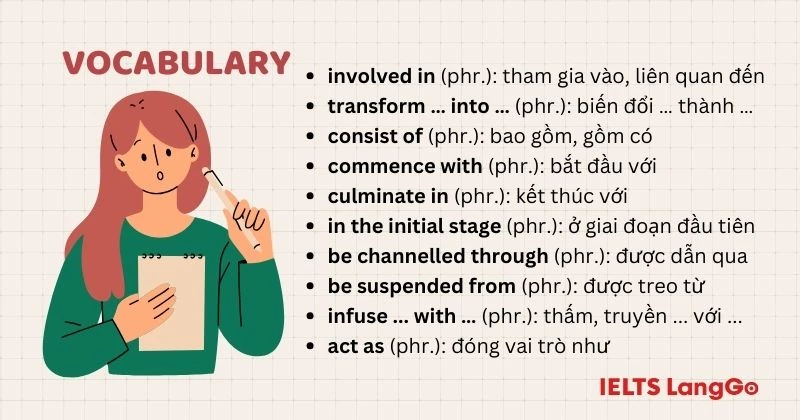 The structure of a home smokery Writing Task 1 Vocabulary