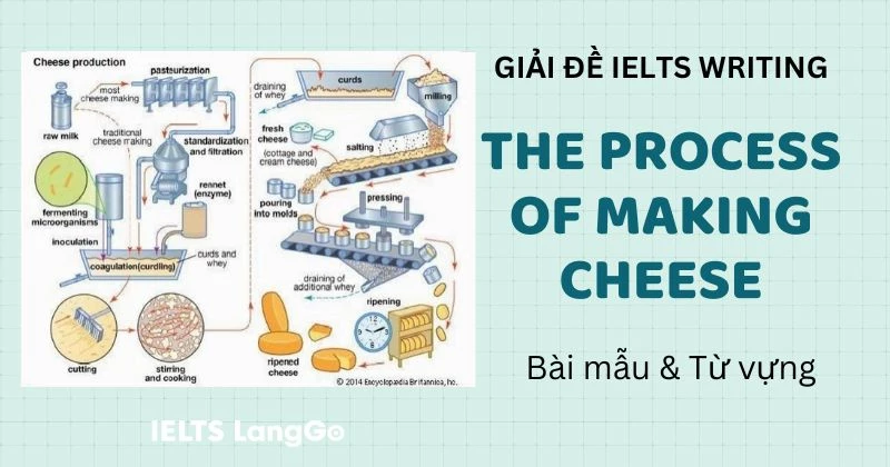 Giải đề The process of making cheese Writing Task 1: Bài mẫu & Từ vựng