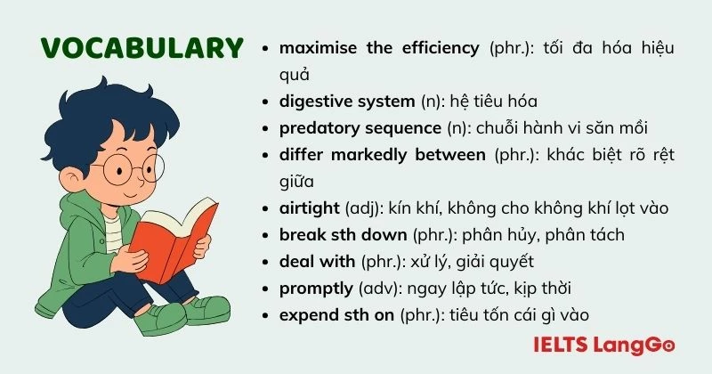 Venus flytrap Writing Task 1 Vocabulary