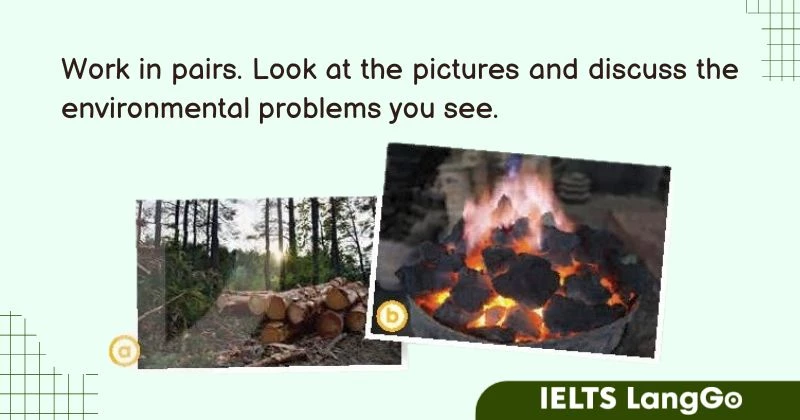 Giải bài tập Reading Unit 5 lớp 11 Global success