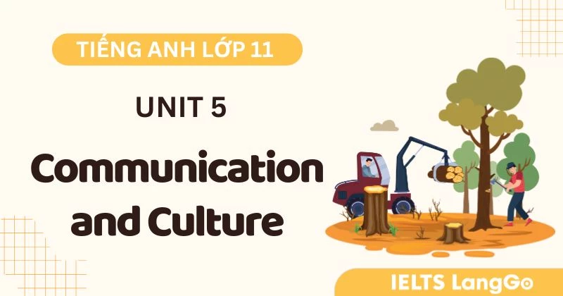 Đáp án Communication and Culture Unit 5 lớp 11 Global Success chi tiết