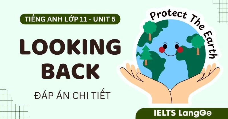 Lời giải Looking back Unit 5 lớp 11 Global success đầy đủ, chi tiết