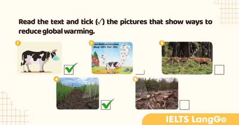 Tiếng Anh lớp 11 Unit 5 Communication and culture