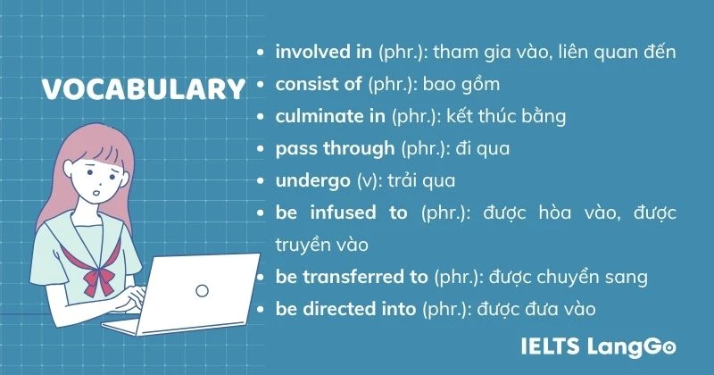 The process of making carbonated drinks Task 1 - Vocabulary