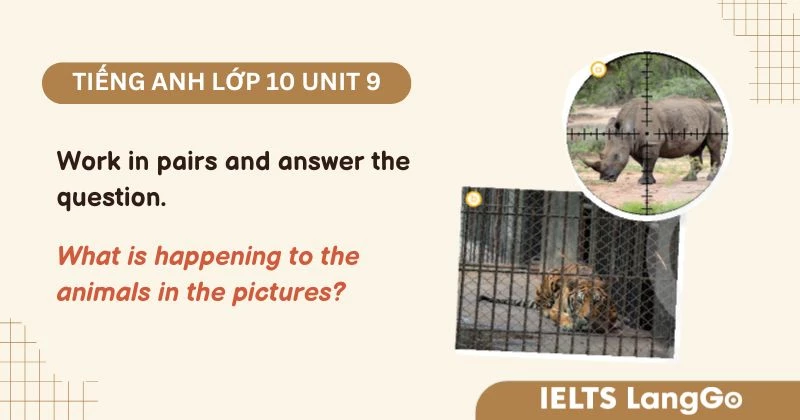 Giải Listening Unit 9 lớp 10