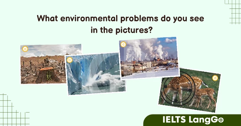 Tiếng Anh lớp 10 Unit 9 Reading  - Picture