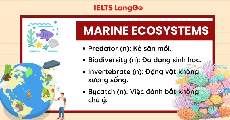 Tổng hợp từ vựng hay trong đề Unlock The IELTS số 9Ảnh minh họa