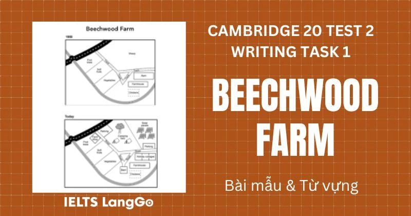 Giải đề IELTS Writing Task 1 Test 2 Cambridge 20: Beechwood Farm
