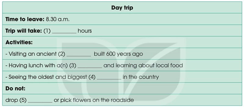 Tiếng Anh lớp 10 Review 4 Skills - Listening