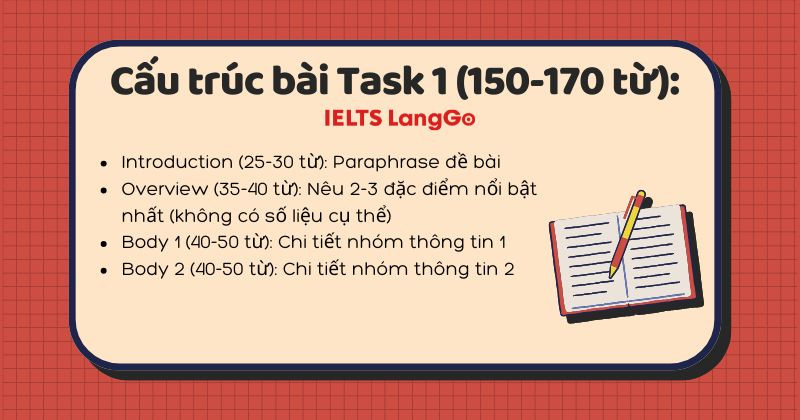 Cấu trúc bài task 1 writing bạn cần lưu ý