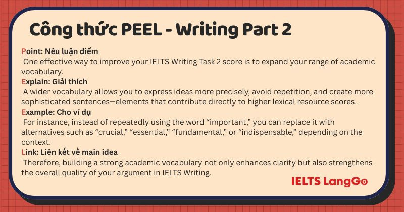 Cấu trúc PEEL và ví dụ minh họa giúp bạn triển khai luận điểm chặt chẽ