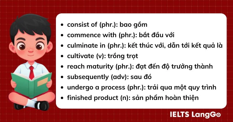 How bamboo fabric is made Writing Task 1 Vocabulary