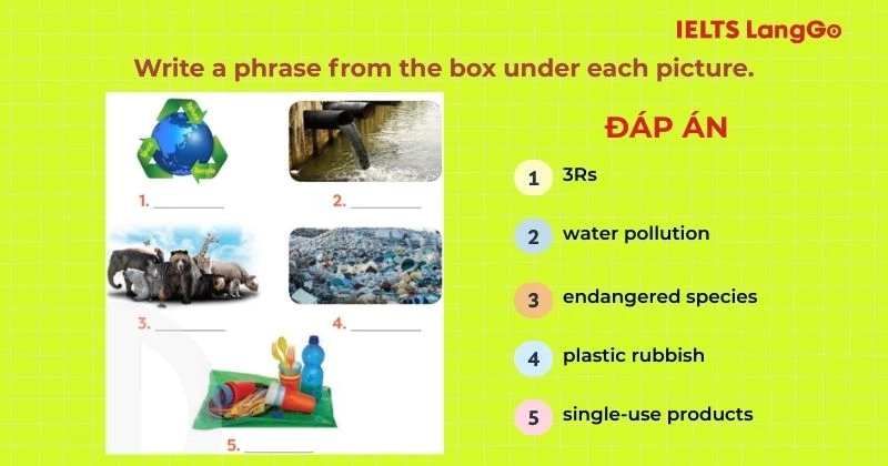 Bài tập 4 Tiếng 8 Unit 7 Getting Started