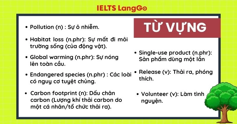 Tổng hợp từ vựng Tiếng Anh 8 Unit 7 Getting Started