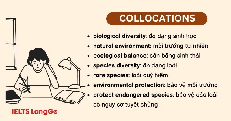 Cụm từ vựng  Unit 10 lớp 11 Global Success