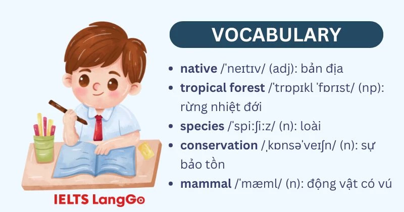 Tiếng Anh 11 Unit 10 Language - Vocabulary