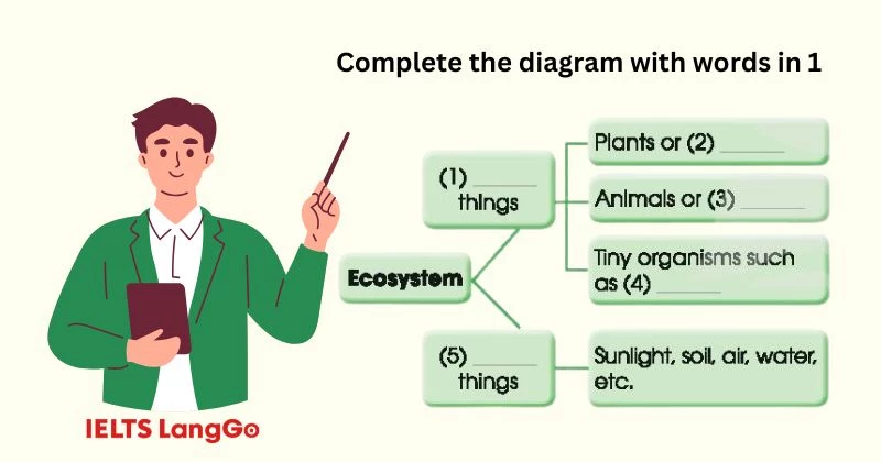 Tiếng Anh lớp 11 Unit 10 Getting started - bài tập 3