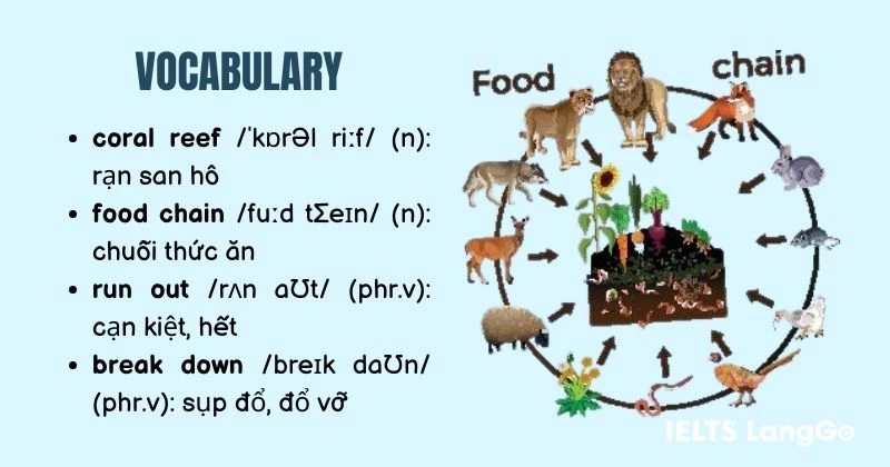 Tiếng Anh 11 Unit 10 Listening - Vocabulary