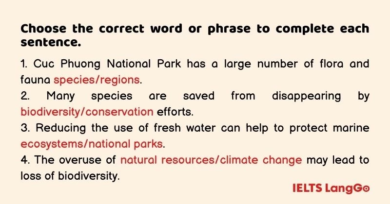 Tiếng Anh 11 Unit 10 Looking back - Vocabulary