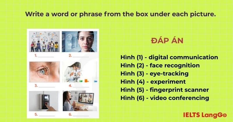 Bài tập 1 Unit 11 A Closer Look 1 Tiếng Anh 8
