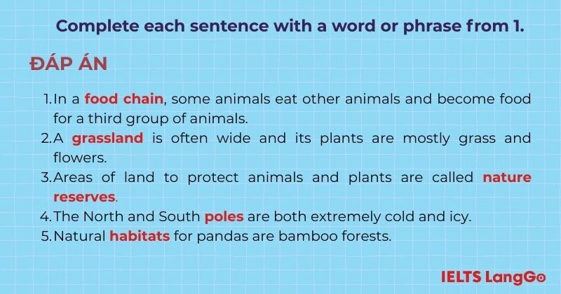 Bài tập 2 Unit 10 A Closer Look 1 Tiếng Anh 9