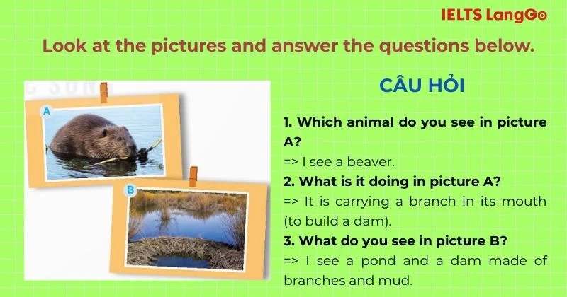 Bài tập 1 Tiếng Anh 9 Unit 10 Skills 2